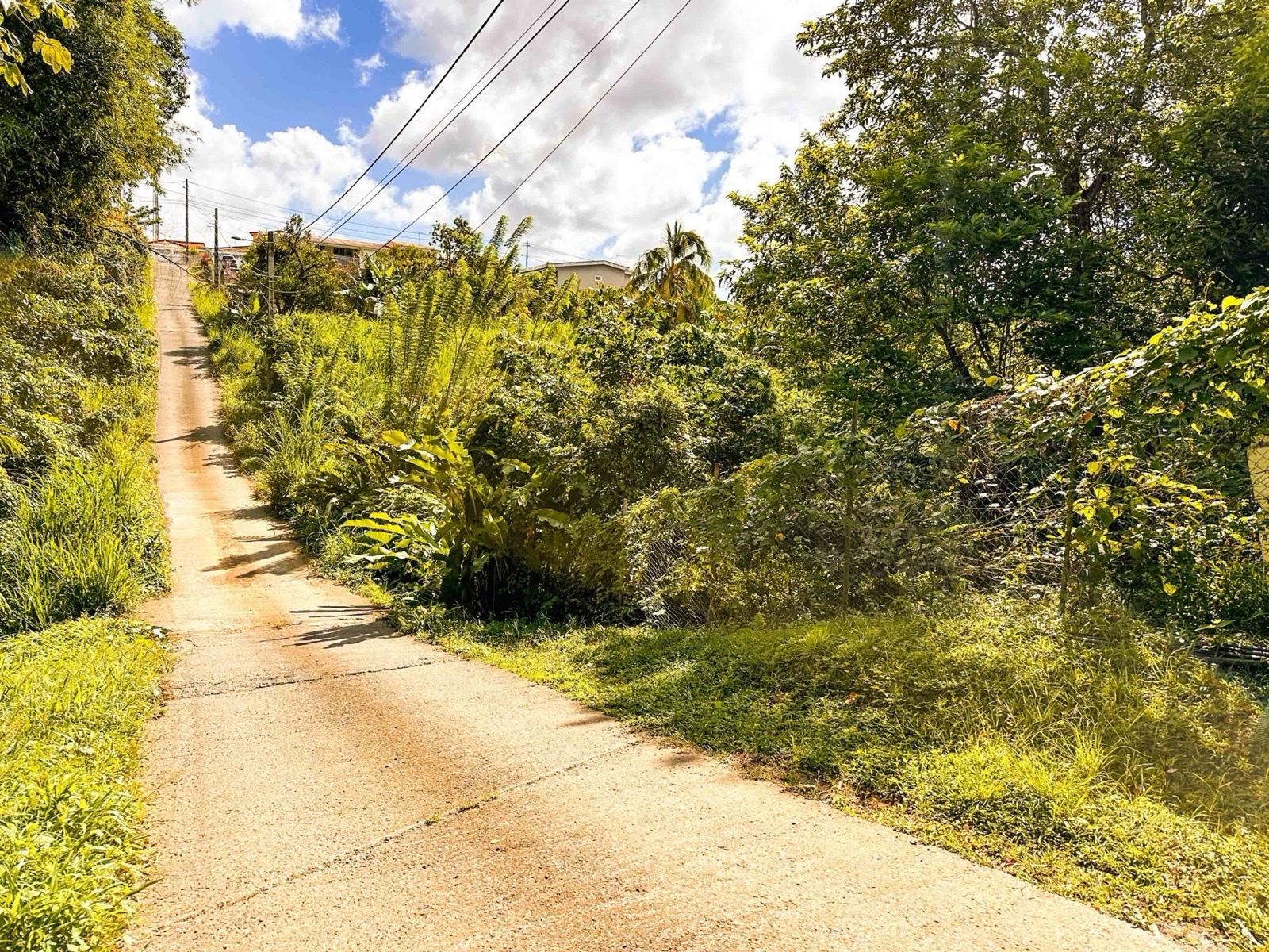 Terrain constructible 1300 m² à Choco, Saint-Joseph - 176 000 € - Environnement calme et arboré