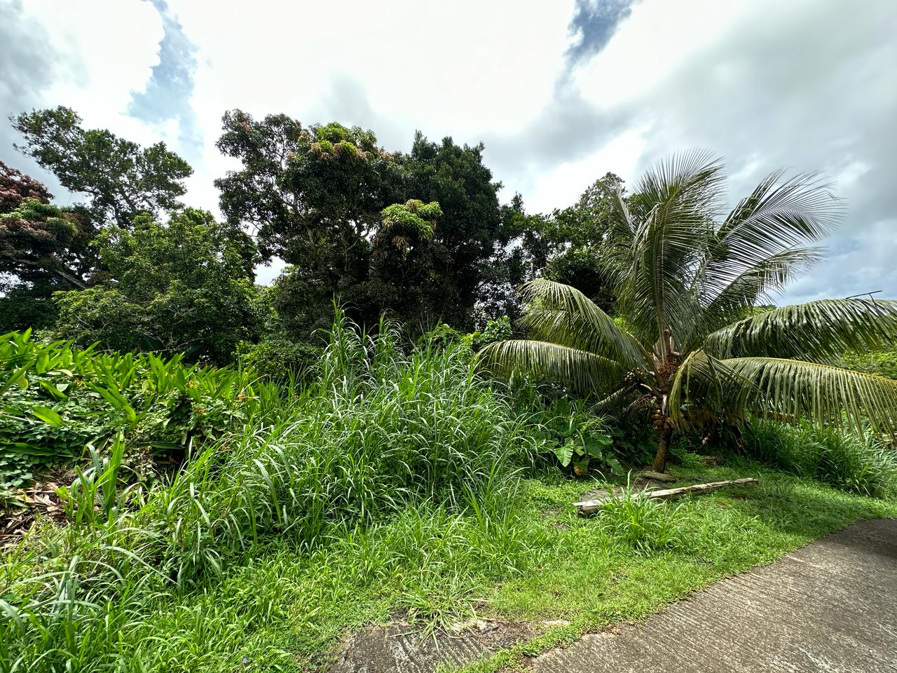 Terrain constructible 3750 m² à Dugane, Sainte-Luce - 313 500 € - Idéal projet de lotissement